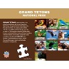 MasterPieces 100 Piece Jigsaw Puzzle for Kids - Grand Teton National Park - 4 of 4