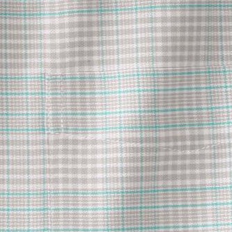 tidal green check