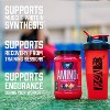 BSN Amino X Muscle Recovery & Endurance Powder with BCAAs, 10 Grams of Amino Acids, Keto Friendly, Caffeine Free, Flavor: Grape, 30 servings - 3 of 4