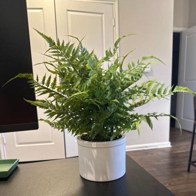 Fern : Fake Plants & Artificial Plants for Indoors : Target