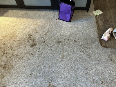 Guest review image 3 of 5, zoom in