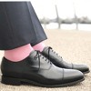 Solid Color Crew Cotton Dress Socks  from the Sock Panda (Men's Sizes, Adult Large) - Light Pink - 2 of 3