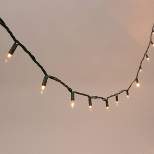 Philips 100ct Incandescent Smooth Heavy Duty Mini Christmas String Lights with Green Wire