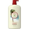 Old Spice Men's Body Wash Fiji with Palm Tree Scent 25 oz - 4 of 4