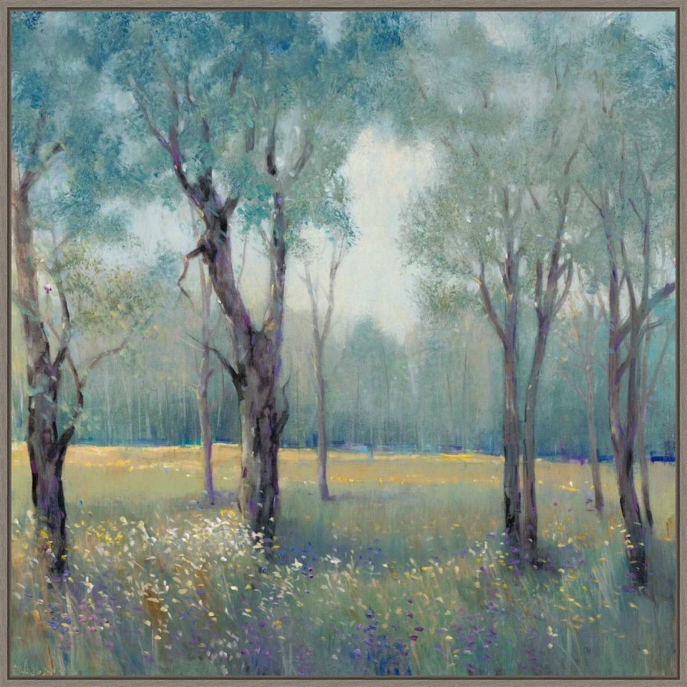 Photos - Other Decoration 30" x 30" Morning Mist by Tim O'Toole Framed Canvas Wall Art Print - Amanti Art