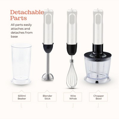 800W Stainless Steel 2-Speed Immersion Blender Set with Attachments