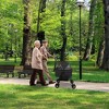 iMountek"Foldable 4-Wheel Pet Stroller with Removable Liner, Storage Basket for Dog & Cat Travel Jogger"Grey - 4 of 4