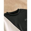 TIME HOLLOW Casual Asymmetrical Patchwork Crew Neck Long Sleeve Pullover Sweatshirt - 3 of 3