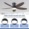 42 Inch Low Profile Flush Mount Ceiling Fan - 4 of 4