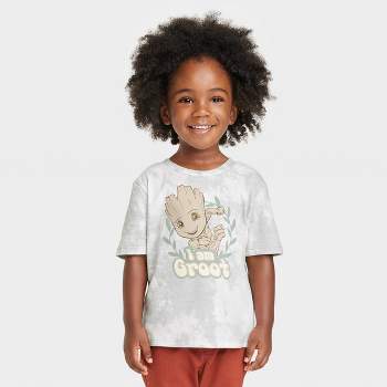 Boys' Marvel Groot Short Sleeve Graphic T-Shirt - Off White