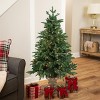 Northlight Real Touch™️ Potted Sierra Norway Spruce Slim Artificial Christmas Tree - 4.5' - Clear Lights - 2 of 4