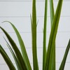 Nearly Natural 2-ft  UV Resistant Artificial Grass Plant (Indoor/Outdoor) - 3 of 4