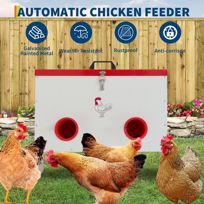 Automatic Chicken Feeder 30 Lb Capacity 6 Port Large Metal Chicken Feeders - No Waste Poultry Feeder with Locking Lid