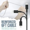 Smartish 2 in 1 USB C to USB C/Lightning Cable - Crown Joule - 6 Ft Fast Charger - 4 of 4
