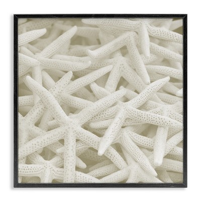 Stupell Industries Nautical White Starfish Photography, 12" x 12"