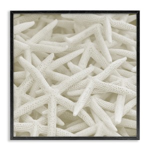 Stupell Industries Nautical White Starfish Photography, 12" x 12" - 1 of 4