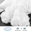 BRINJOY Queen Size Sleep Pillows 2-Pack - Ultra-Soft Down Alternative Microfiber Pillows for Side & Back Sleepers - 2 of 4