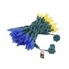 Novelty Lights C6 LED Christmas String Lights 70 Strawberry Bulbs (Green Wire, 24 Feet) - 3 of 4