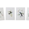 Hummingbird Print Wall Art (Set Of 4) Wood Frame 8.25 Inch Vintage Style Nature Decor By Melrose - 3 of 3