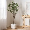 Gulches 71 Inch Artificial Milan Leaf Bonsai elm Tree Plants, Pre Potted Plant, Ideal for Indoor Gardens, Living Rooms and Bedrooms - 2 of 4