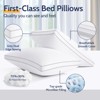 Itopfox King Size Pillow Set of 2, Gusseted Luxury Hotel Quality Bed Pillows, Soft Down Alternative for Back Stomach & Side Sleepers Machine Washable - 4 of 4