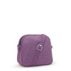 Kipling Keefe Crossbody Bag - 4 of 4