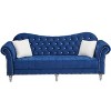 Hybition 2-Piece Velvet Living Room Set - 4 of 4
