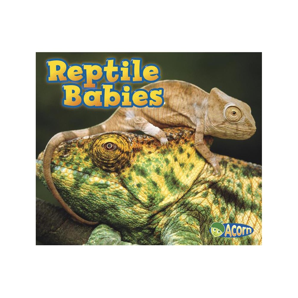 Reptile Babies - (Animal Babies) by Catherine Veitch (Paperback)