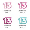 Big Dot of Happiness Girl 13th Birthday - Paper Straw Decor - Official Teenager Birthday Party Striped Decorative Straws - Set of 24 - 2 of 4