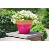 Garden Elements Indoor/Outdoor Colored Rim Large Plastic Planter, 15in - 2 of 4