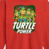 Boys' - Teenage Mutant Ninja Turtles - Turtle Power Long Sleeve Graphic T-Shirt - 2 of 4