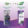 Nature's Way Sambucus Traditional Immune Elderberry Syrup - 8 fl oz - 3 of 4