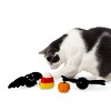 Midlee Halloween Felt Cat Toys Set- Bat, Pumpkin, Spider, Candy Corn - 3 of 4