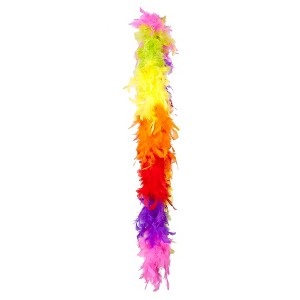 Boland Rainbow Adult Feather Costume Boa - 1 of 4