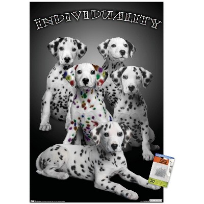 clear push pins bundle