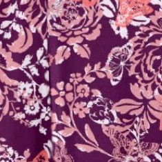 dark berry butterfly blooms