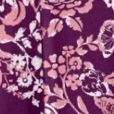 dark berry butterfly blooms