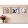 HomeRoots Set of Three Brown Cow Wood Square Framed Art - 2 of 4