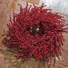 Sullivans Artificial Berry Wreath - 2 of 3