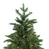 Northlight Real Touch™️ Potted Sierra Norway Spruce Slim Artificial Christmas Tree - 4.5' - Clear Lights - 2 of 4