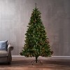 LOVMOR 7' Noble Hinged Tree with 500 MultiLights-UL,Dia:48 - 3 of 4