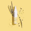 Paul Mitchell Clean Beauty Heat Styling Hair Spray - 5.1 fl oz - 3 of 4