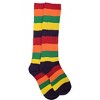 Rainbow Slouch Socks the Sock Panda (Women's Sizes, Adult Medium) - Heavyweight - 2 of 4
