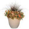 Classic Home and Garden Indoor/Outdoor Round Honeysuckle Resin Flower Pot Planter - 2 of 4
