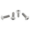 Wolf Tooth Titanium Water Bottle Cage Bolts, 4 Piece, Standard Head Raw - 3 of 3