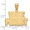 Black Bow Jewelry 10k Yellow Gold Wake Forest Demon Deacons NCAA Medium Pendant - 2 of 3