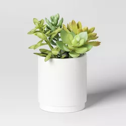 Artificial Succulents Plant in Pot - Threshold™