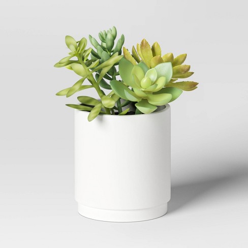 Artificial Succulents Plant In Pot - Threshold™ : Target