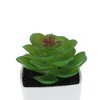 Unique Bargains Artificial Plants Plastic Green 2.2"x2.2"x2.56" 1 Pcs - 4 of 4