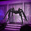 Joyfy 6.5 ft Spider Halloween Outdoor Decorations Large Hairy Props, Black Spider Decorations, Realistic Spider Party Supplies Yard House Décor - 3 of 4